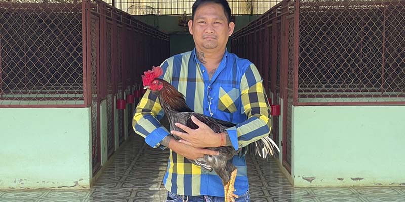 Bật Mí Trại Gà Mít Trà Cú Có Quy Mô Khủng Nhất Tại Miền Tây 1 Chủ nhân sở hữu trại gà vang danh nhất nhì khu vực miền Tây