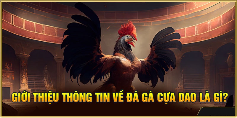 Cá Cược Đá Gà Cựa Dao: Tổng Hợp Thông Tin Từ A - Z 1 Hình thức cá cược đá gà cựa dao mới lạ, hấp dẫn