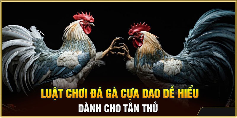 Cá Cược Đá Gà Cựa Dao: Tổng Hợp Thông Tin Từ A - Z 2 Tìm hiểu về luật chơi và cách phân định thắng thua