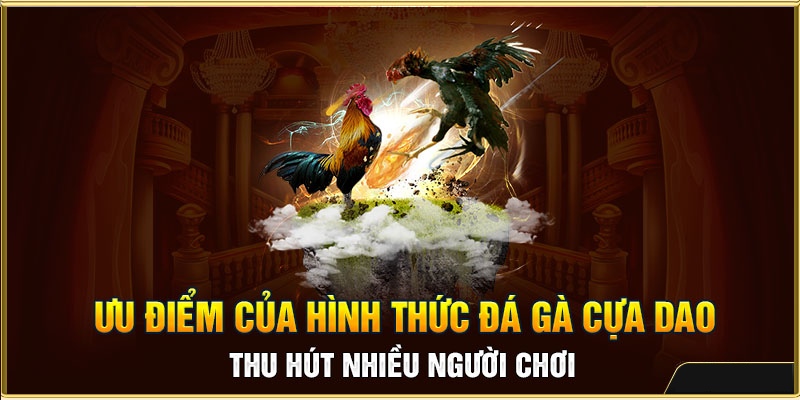 Cá Cược Đá Gà Cựa Dao: Tổng Hợp Thông Tin Từ A - Z 3 Ưu điểm vượt trội của hình thức đá gà cựa dao
